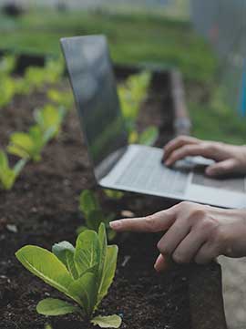 Servizi ingegneristici agronomici